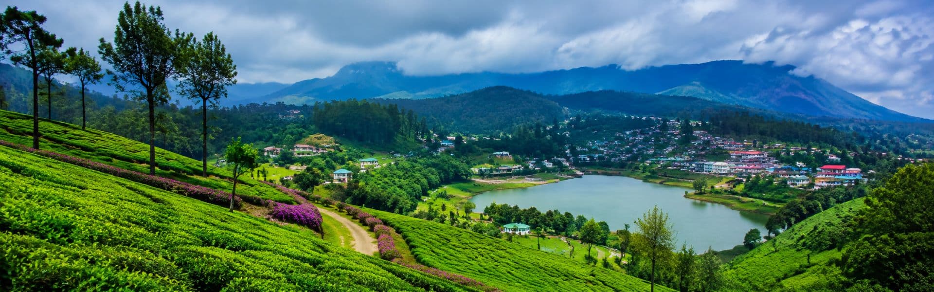 Ooty (Tamil Nadu)