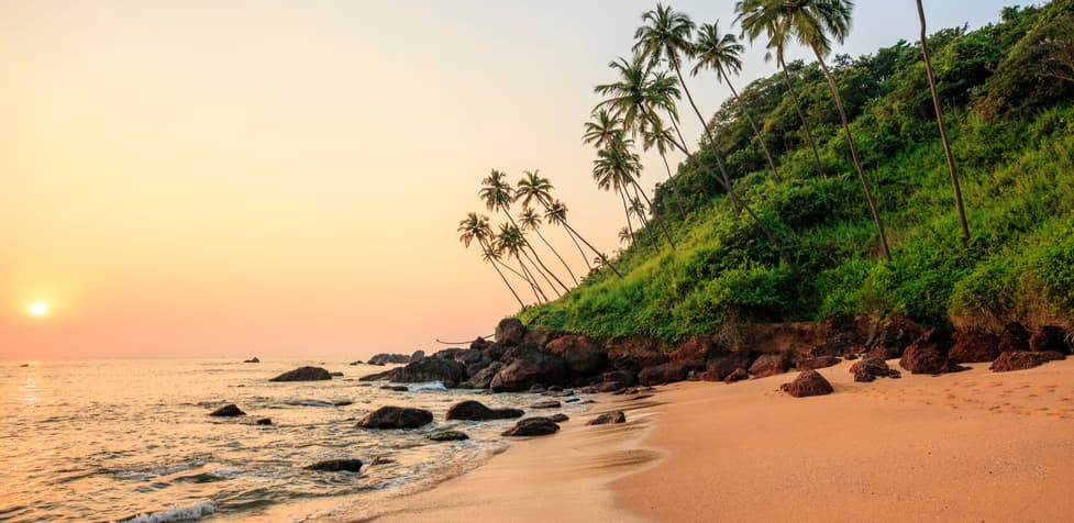 Discover Goa's Secret Shores: Top 5 Hidden Beaches!