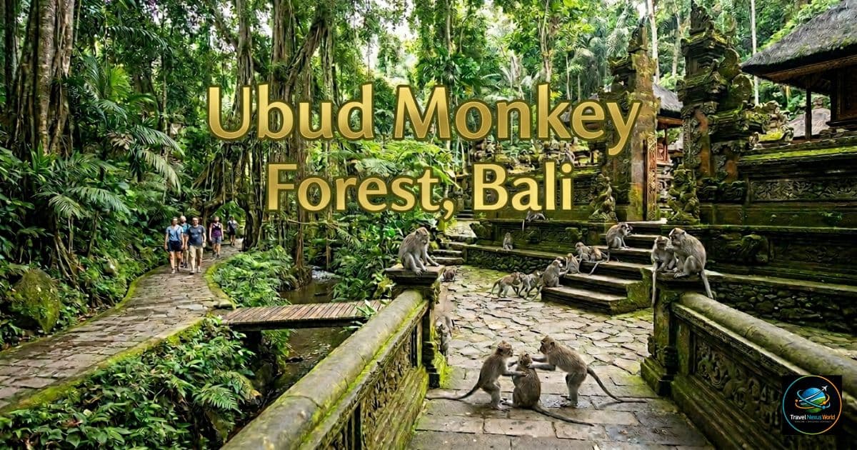 Ubud Monkey Forest in Bali